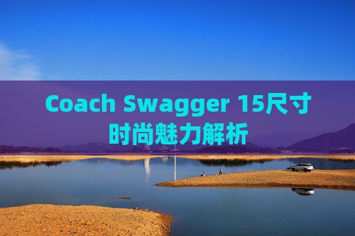 Coach Swagger 15尺寸时尚魅力解析