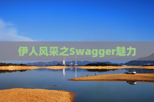 伊人风采之Swagger魅力