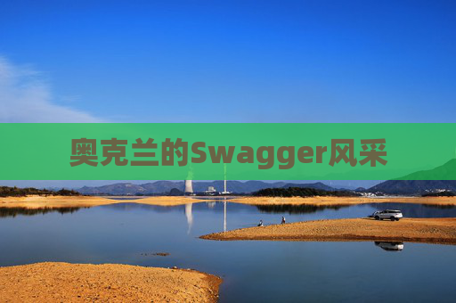奥克兰的Swagger风采